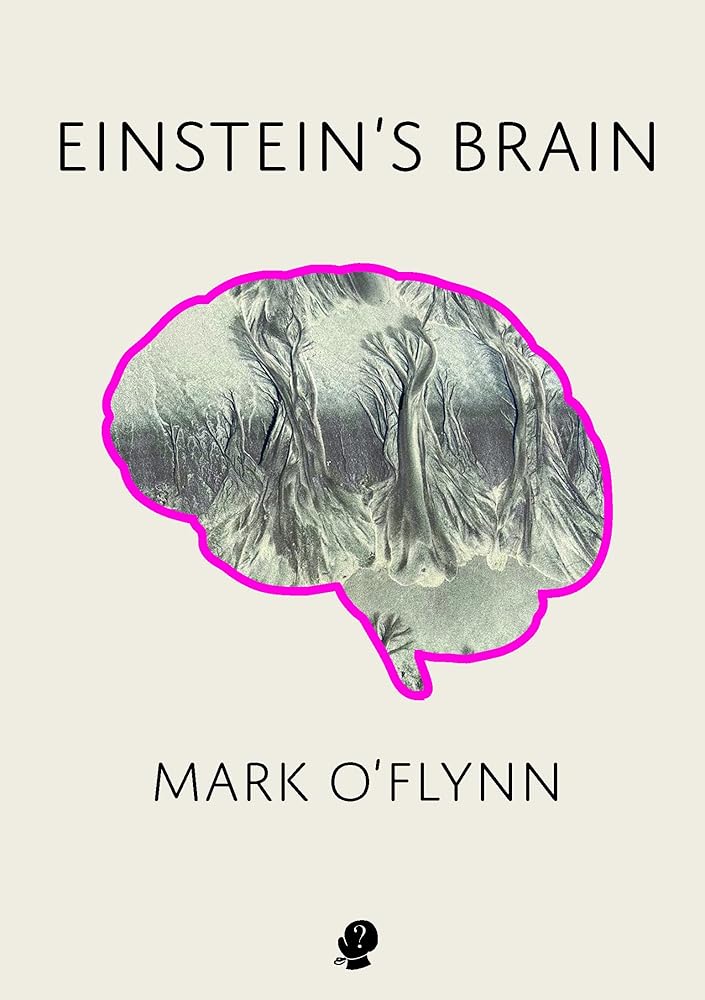 Einstein's Brain - 9781922571519 - Mark O'Flynn - Puncher & Wattmann - The Little Lost Bookshop