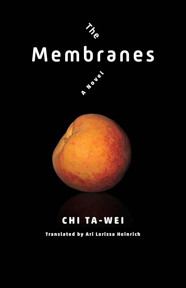 The Membranes: A Novel (Modern Chinese Literature from Taiwan) - 9780231195713 - Ta - wei Chi, Ari Larissa Heinrich - Columbia University Press - The Little Lost Bookshop