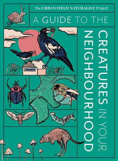 Guide to the Creatures in Your Neighbourhood - 9781922616326 - The Urban Field Naturalist Project - Murdoch Books - The Little Lost Bookshop