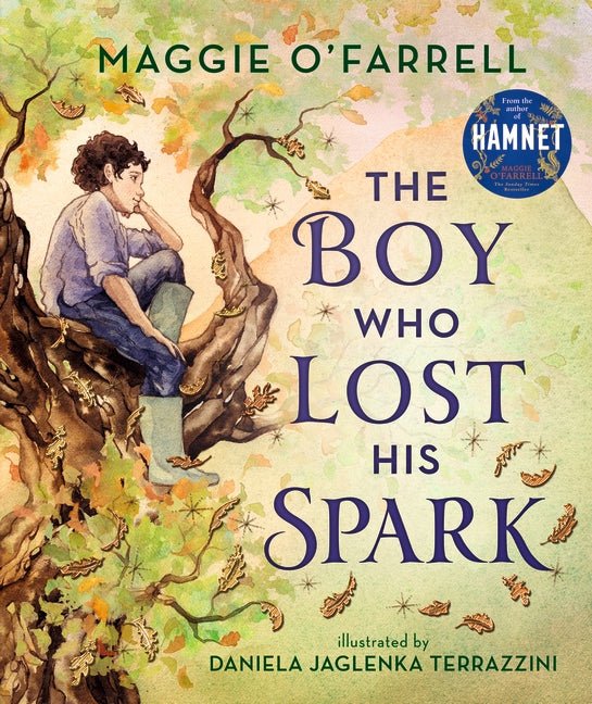 The Boy Who Lost His Spark - 9781406392012 - Maggie O'Farrell - Walker Books Australia - The Little Lost Bookshop