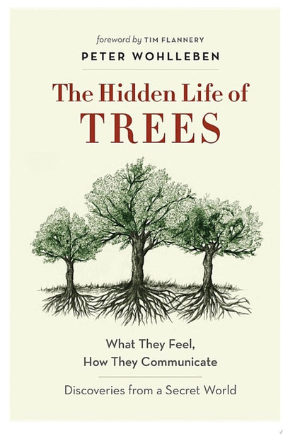 The Hidden Life of Trees - 9781863958738 - Peter Wohlleben - Black Inc - The Little Lost Bookshop