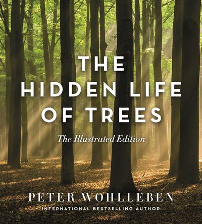 The Hidden Life of Trees (Illustrated Edition) - 9781760640767 - Peter Wohlleben - Black Inc - The Little Lost Bookshop