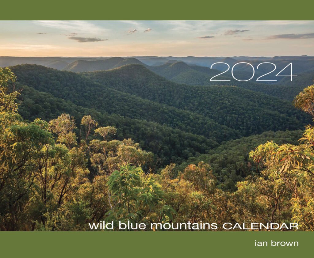 2025 Wild Blue Mountains Calendar The Little Lost