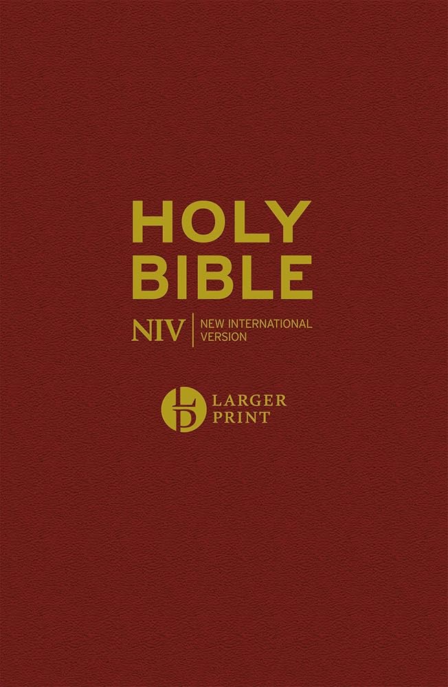 Niv Larger Print Burgundy Hardback Bible cover image