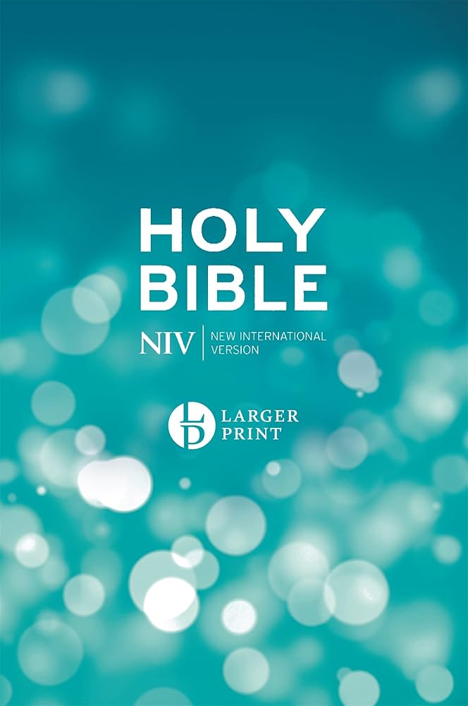 Niv Larger Print Blue Hardback Bible cover image