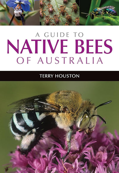 A Guide to Native Bees of Australia - 9781486304066 - Terry Houston - CSIRO Publishing - The Little Lost Bookshop