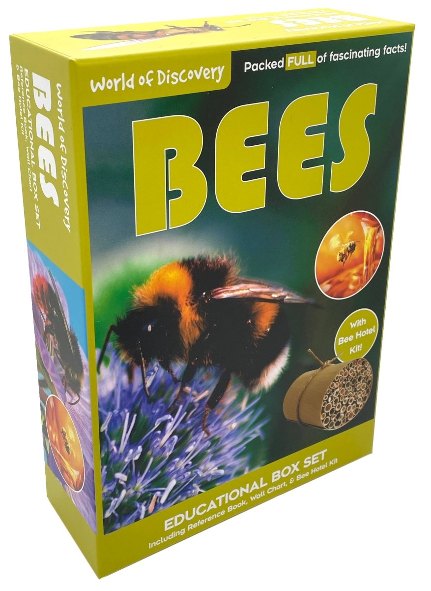 Bees Educational Box set - 5740 - Science and Nature - The Little Lost Bookshop