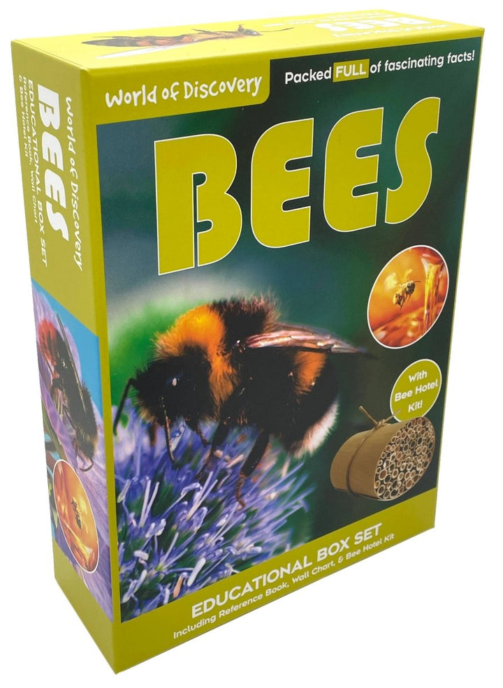 Bees Educational Box set - 5740 - Science and Nature - The Little Lost Bookshop
