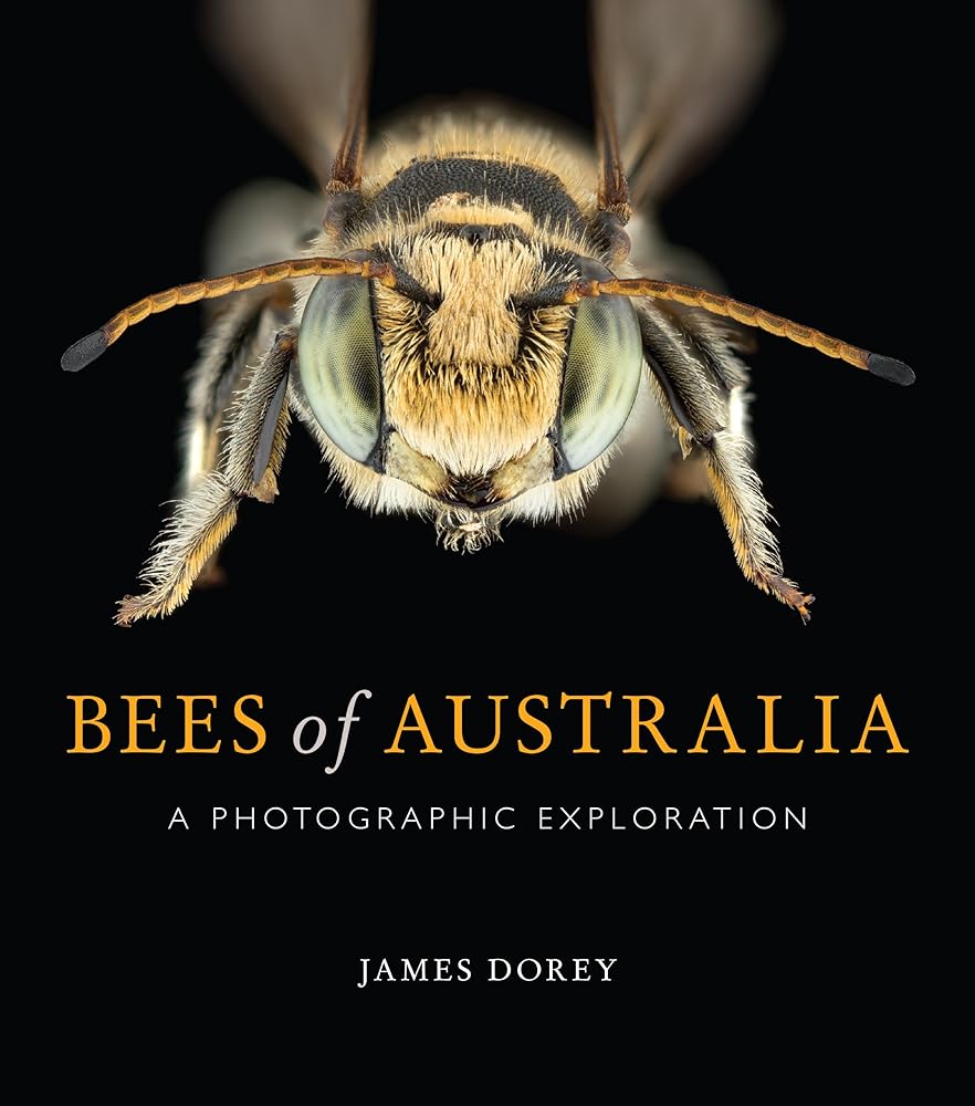 Bees of Australia: A Photographic Exploration - 9781486308491 - James Dorey - CSIRO Publishing - The Little Lost Bookshop