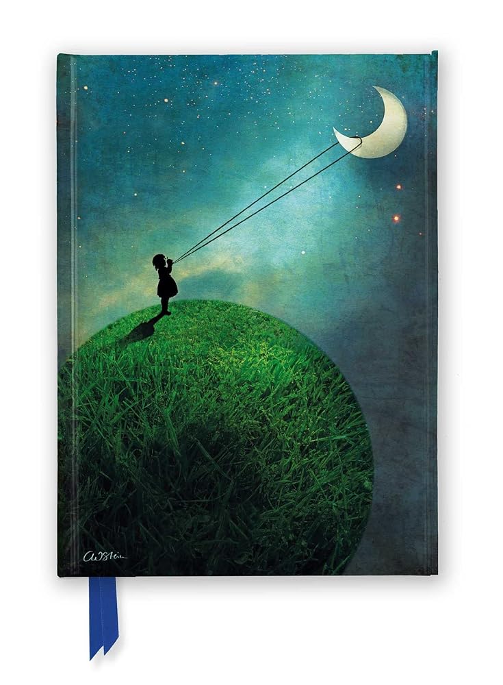 Catrin Welz - Stein: Chasing the Moon (Foiled Journal) (Flame Tree Notebooks) - 9781787555563 - Flame Tree Studio - Flame Tree Gift - The Little Lost Bookshop