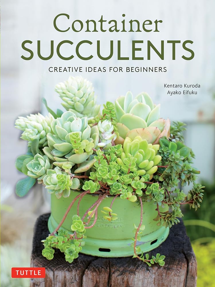 Container Succulents: Creative Ideas for Beginners - 9780804851053 - Kentaro Kuroda, Ayako Eifuku - Tuttle Publishing - The Little Lost Bookshop