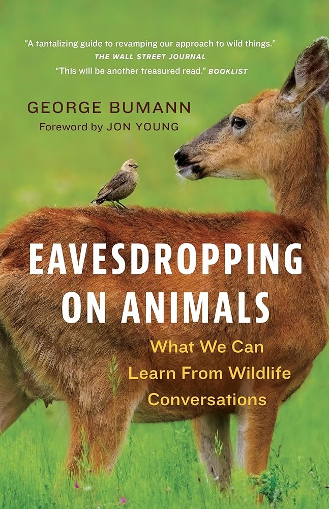 Eavesdropping on Animals: What We Can Learn From Wildlife Conversations - 9781778403316 - George Bumann, Jon Young - Greystone Books - The Little Lost Bookshop