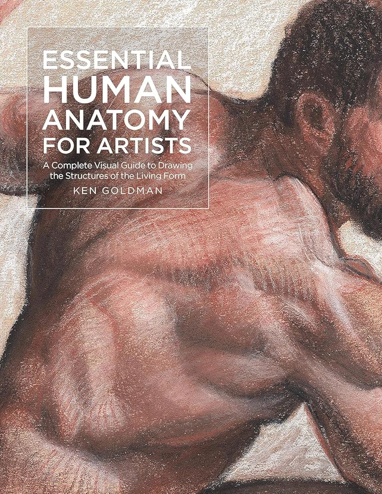 Essential Human Anatomy for Artists: A Complete Visual Guide to Drawing the Structures of the Living Form (For Artists, 9) - 9781631599590 - Ken Goldman - Rockport Publishers - The Little Lost Bookshop