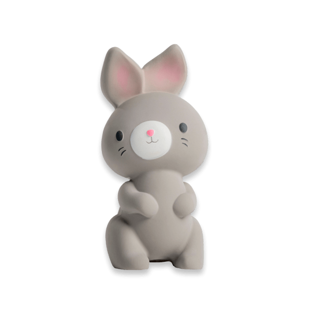 Ingenuity Sylvi Natural Rubber Teether - 13076 - Toy - Ingenuity - The Little Lost Bookshop