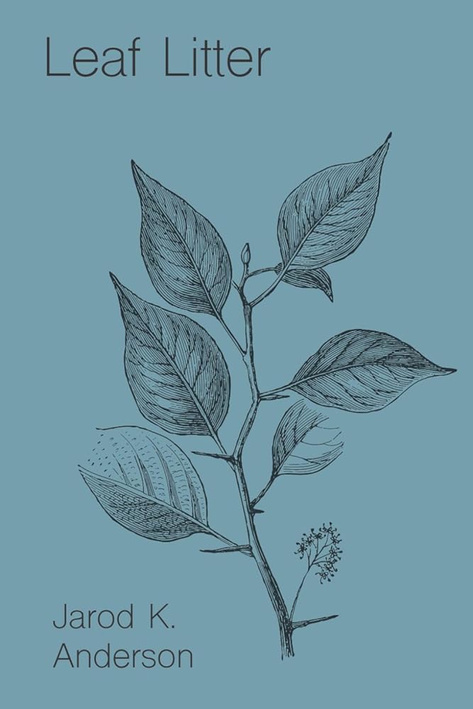 Leaf Litter (Haunted Forest Trilogy) - 9798870221885 - Jarod K. Anderson - Independently published - The Little Lost Bookshop