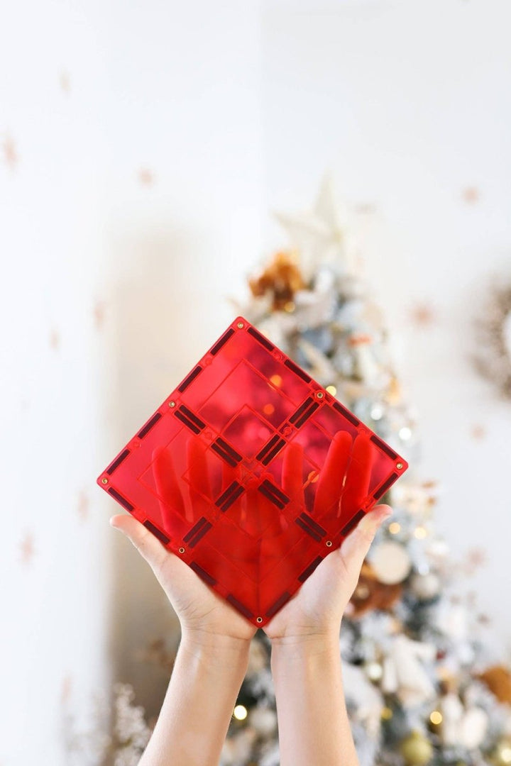 Learn & Grow Magnetic Tiles - 110 piece set - New Design - Learn and Grow Toys - The Little Lost Bookshop