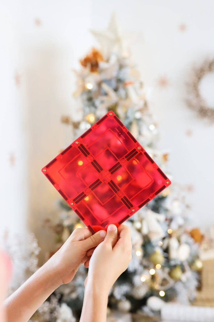 Learn & Grow Magnetic Tiles - 110 piece set - New Design - Learn and Grow Toys - The Little Lost Bookshop