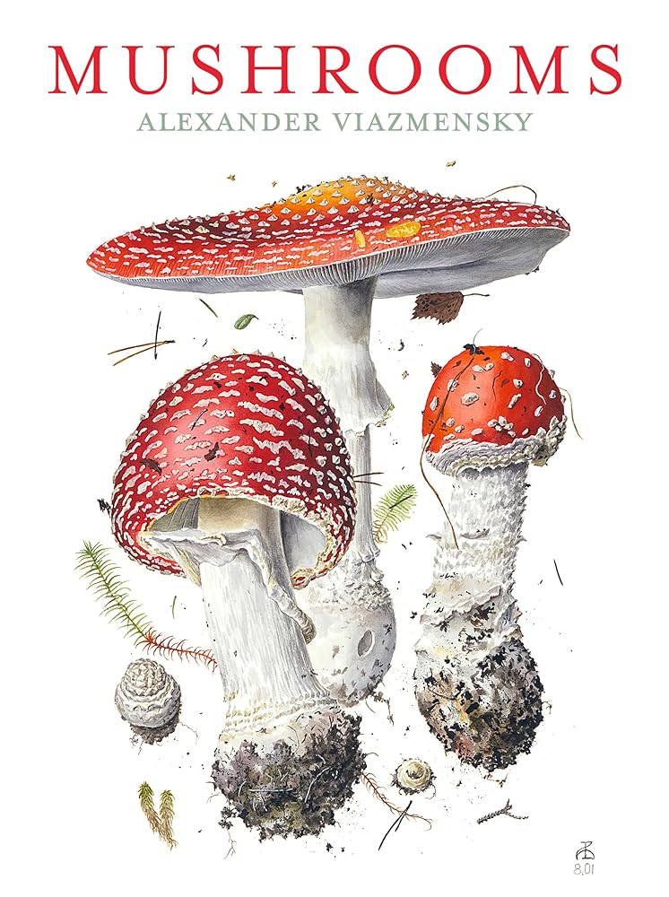 Mushrooms Notecard Assortment - 9781087510057 - Alexander Viazmensky - Pomegranate Communications Inc - The Little Lost Bookshop