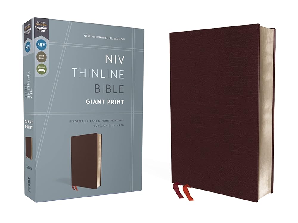 NIV, Thinline Bible, Giant Print, Bonded Leather, Burgundy, Red Letter, Comfort Print - 9780310448624 - Zondervan - Zondervan - The Little Lost Bookshop