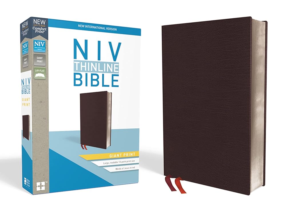 NIV, Thinline Bible, Giant Print, Bonded Leather, Burgundy, Red Letter, Thumb Indexed, Comfort Print - 9780310448631 - Zondervan - Zondervan - The Little Lost Bookshop