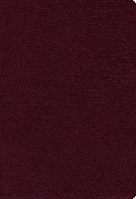 NIV Thinline Bible Red Letter Edition [Burgundy] - 9780310448792 - NIV - Zondervan Bibles - The Little Lost Bookshop