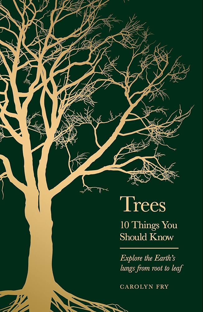 Trees: 10 Things You Should Know - 9781399613897 - Carolyn Fry - Seven Dials - The Little Lost Bookshop