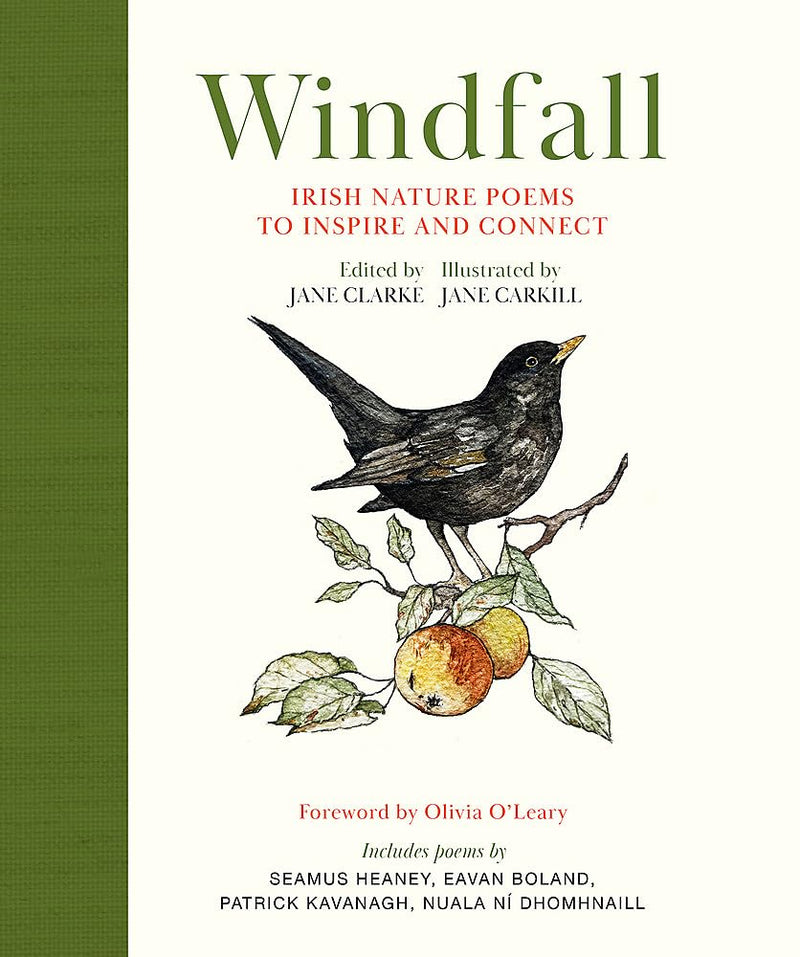 Windfall: Irish Nature Poems to Inspire and Connect - 9781399729611 - Jane Carkill - Hachette - The Little Lost Bookshop