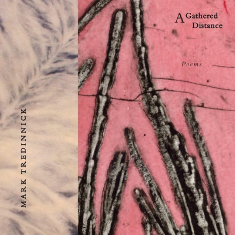 A Gathered Distance: Poems