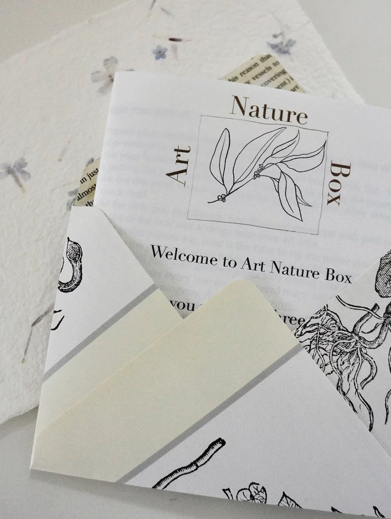 Art Therapy Nature Box - 7741919426501 - Art Nature Box - Art Nature Box - The Little Lost Bookshop