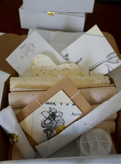 Art Therapy Nature Box - 7741919426501 - Art Nature Box - Art Nature Box - The Little Lost Bookshop