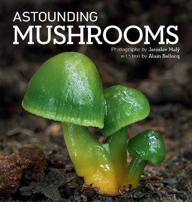 Astounding Mushrooms - 9780228103868 - ALAIN BELLOCQ - Firefly Books - The Little Lost Bookshop