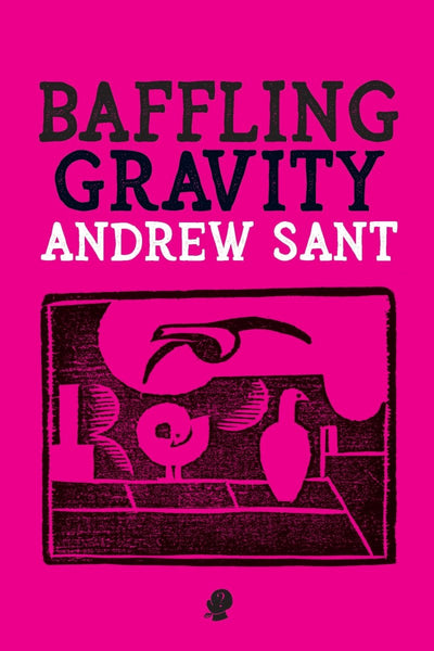Baffling Gravity - 9781925780239 - Andrew Sant - Puncher and Wattmann - The Little Lost Bookshop