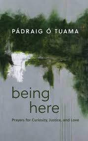 Being Here - 9780802883476 - Padraig O Tuama - Wm B Eerdmans Pub Co - The Little Lost Bookshop