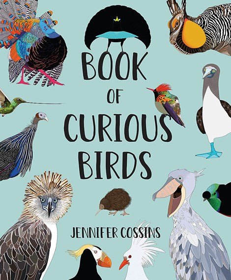 Book of Curious Birds - 9780734420473 - Jennifer Cossins - Lothian Children&