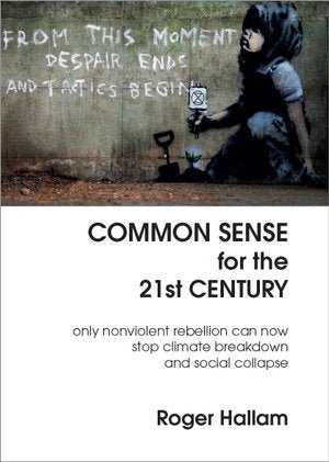 Common Sense for the 21st Century - 9781527246744 - Roger Hallam - Common Sense for the 21st Century - The Little Lost Bookshop