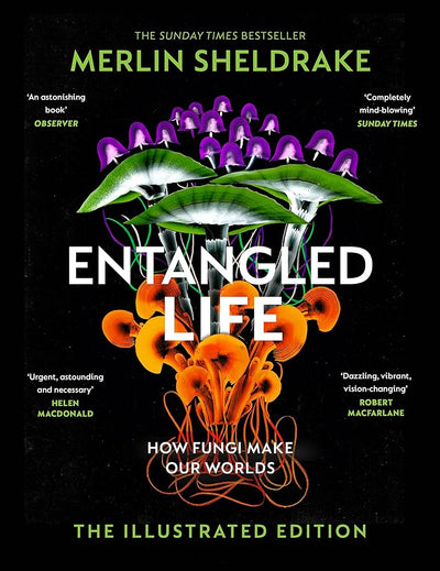 Entangled Life: How Fungi Make Our Worlds The Illustrated Edition - 9781847927736 - Merlin Sheldrake - Penguin UK - The Little Lost Bookshop