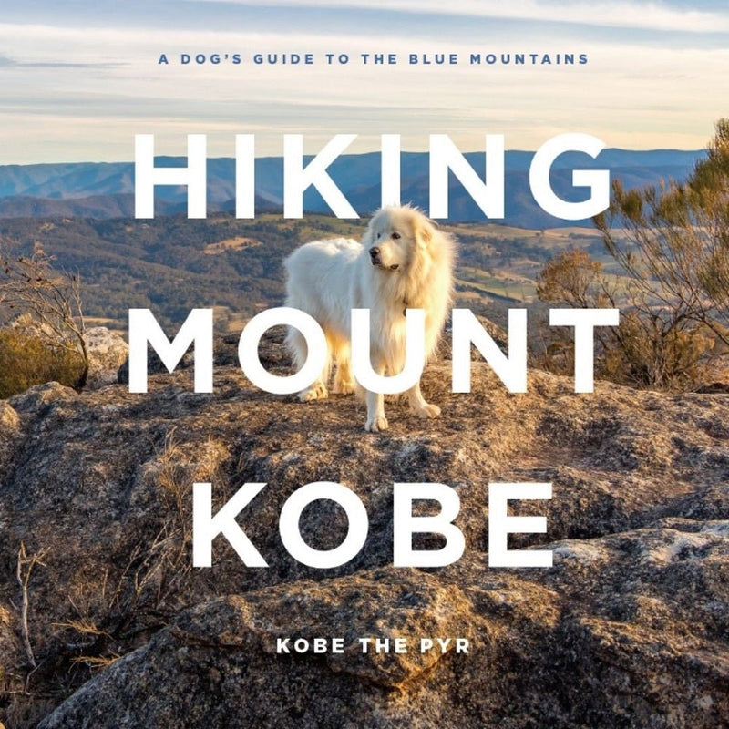Hiking mount Kobe: A Dog&