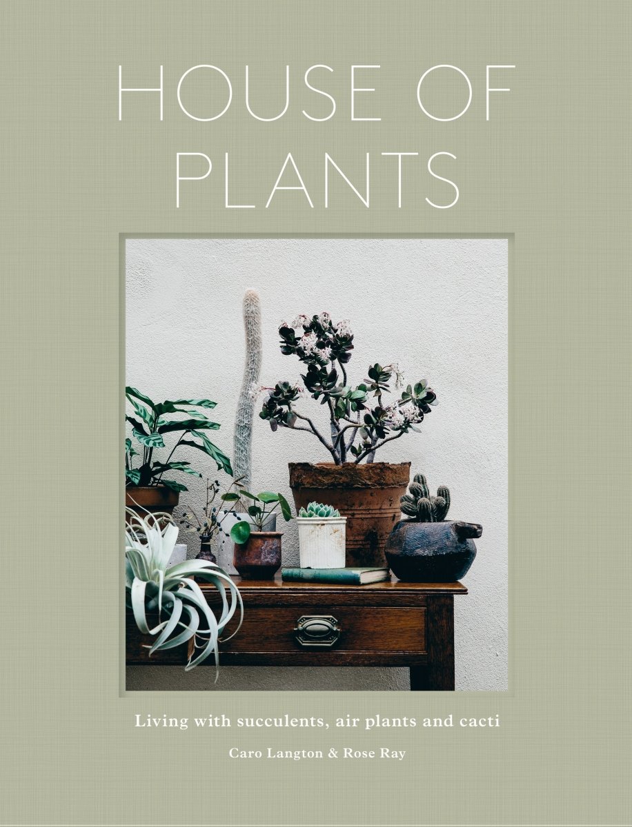 House of Plants - 9780711238374 - Ray, Rose - Quarto UK - The Little Lost Bookshop