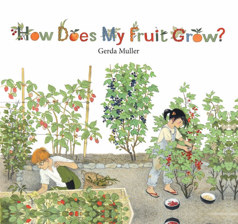 How Does My Fruit Grow? - 9781782504726 - Gerda Muller - Floris Books - The Little Lost Bookshop