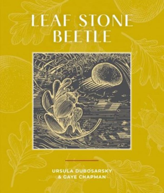 Leaf Stone Beetle - 9780648023838 - Ursula Dubosarsky; Gaye Chapman (Illustrator) - Dirt Lane Press - The Little Lost Bookshop