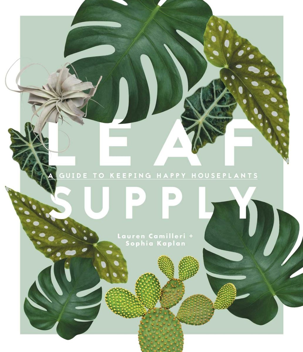 Leaf Supply: A guide to keeping happy house plants - 9781925418637 - Camilleri, Lauren - Smith Street Books - The Little Lost Bookshop