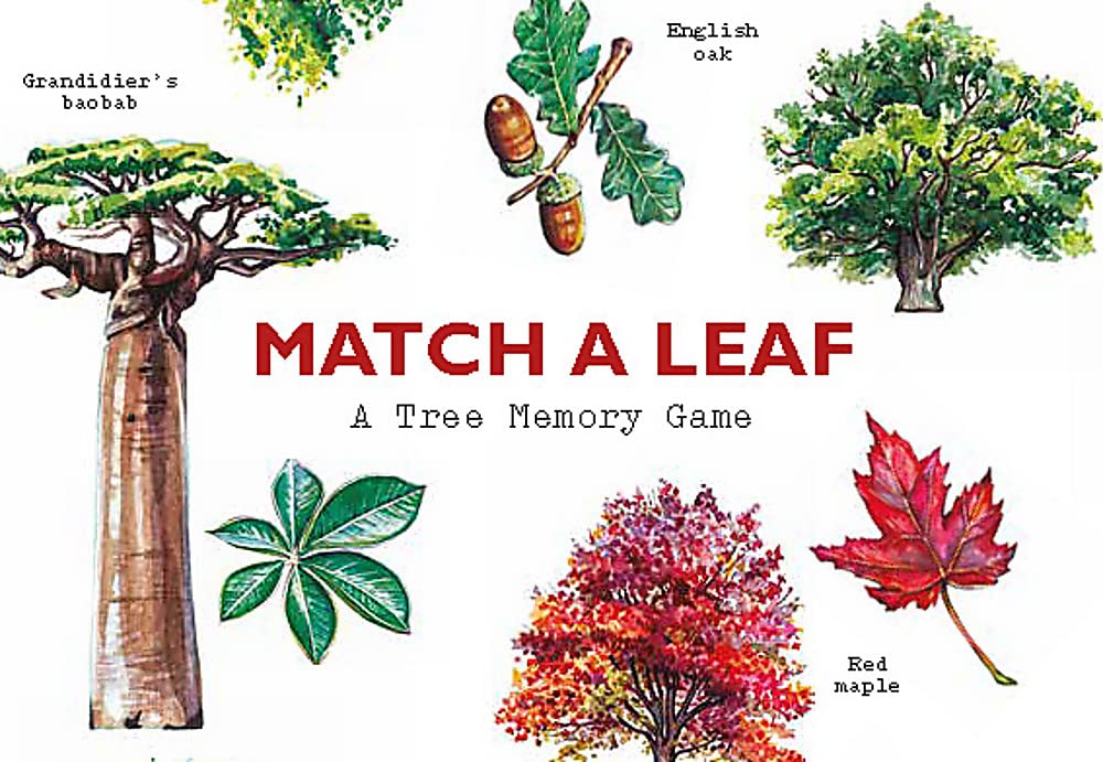 Match a Leaf: A Tree Memory Game - 9781786272270 - Tony Kirkham, Holly Exley - Laurence King Publishing - The Little Lost Bookshop