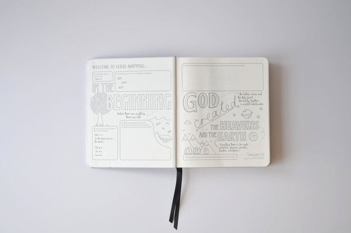 NIV Bible for Journalling and Verse-Mapping - 9781473680548 - NIV - Hodder & Stoughton - The Little Lost Bookshop