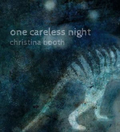 One Careless Night (HB) - 9781925381856 - Walker Books - The Little Lost Bookshop