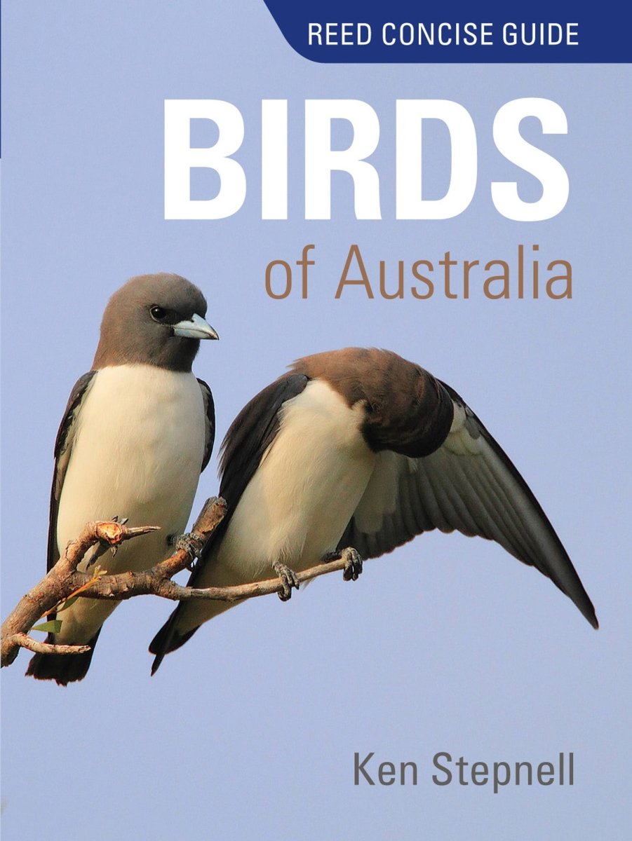 Reed Concise Guide Birds of Australia - 9781921517532 - Ken Stepnell - New Holland Publishers - The Little Lost Bookshop