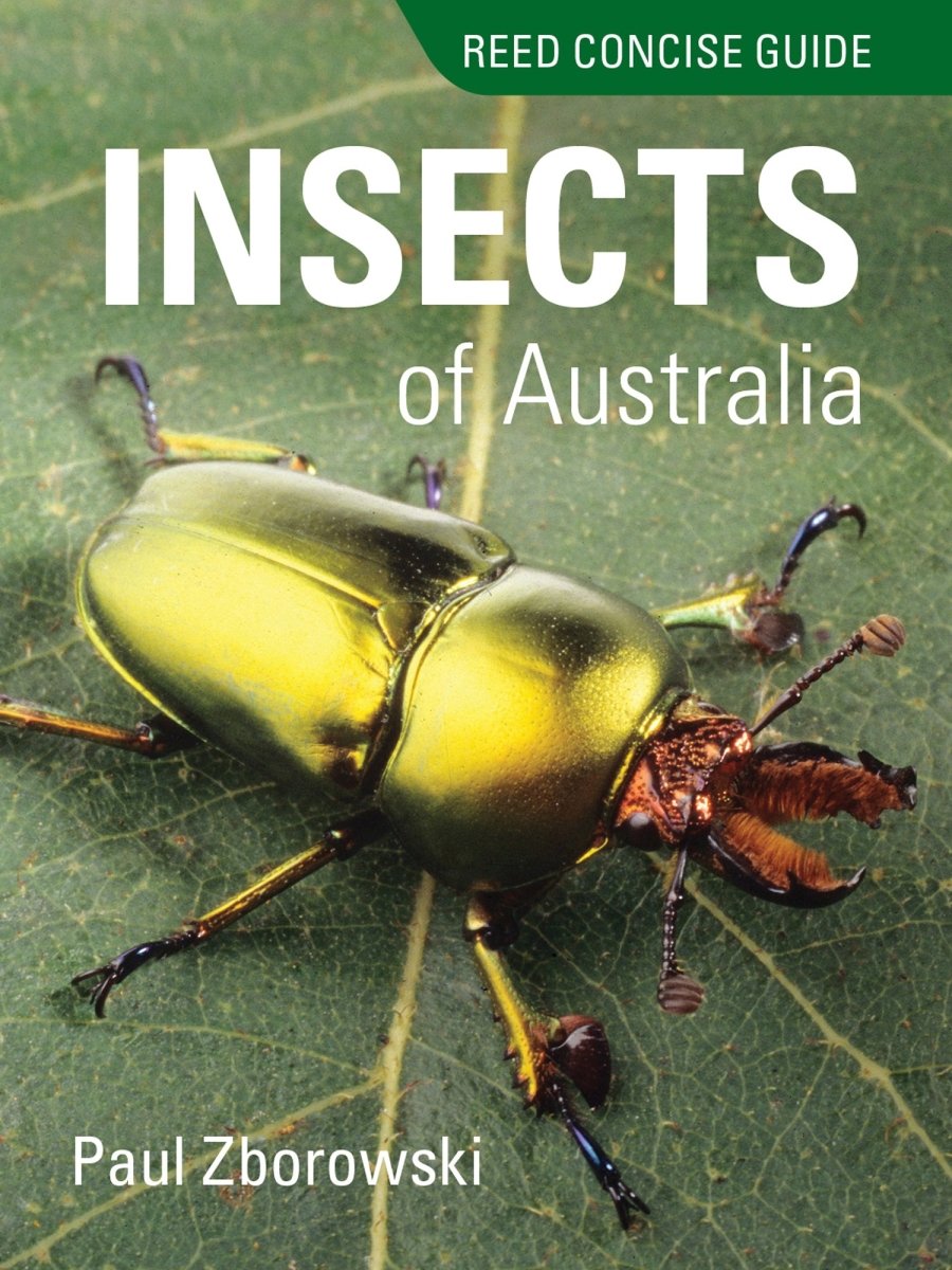 Reed Concise Guide Insects of Australia - 9781925546446 - Paul Zborowski - New Holland Publishers - The Little Lost Bookshop