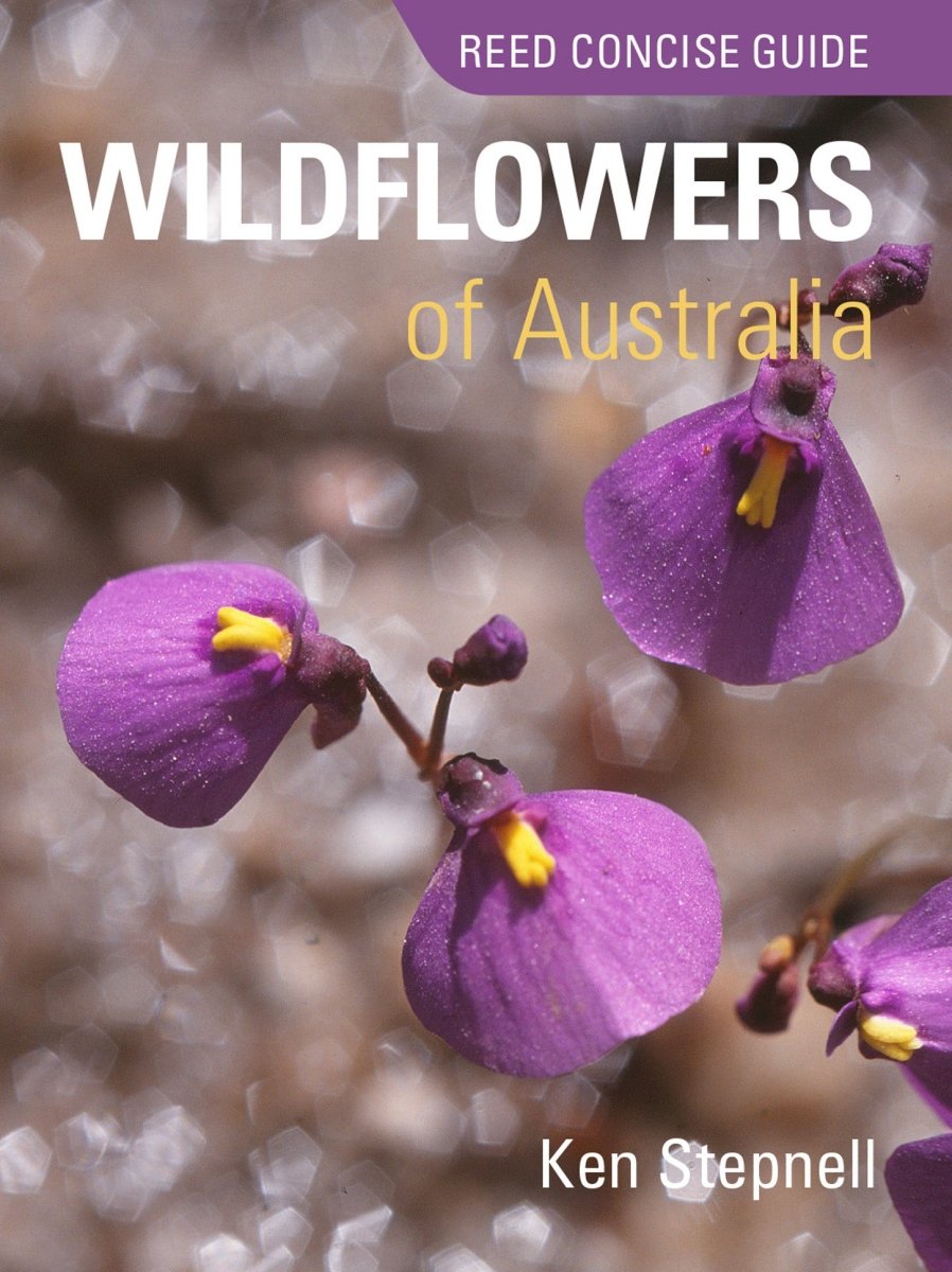 Reed Concise Guide Wildflowers of Australia - 9781921517556 - Ken Stepnell - New Holland Publishers - The Little Lost Bookshop