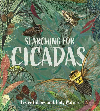 Searching for Cicadas - 9781760655488 - Lesley Gibbes - Walker Books - The Little Lost Bookshop