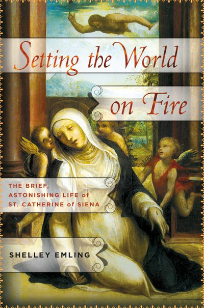Setting the World on Fire - 9781137279804 - St Martins Press - The Little Lost Bookshop