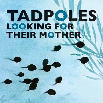 Tadpoles Looking for Their Mother - 9781602209725 - BetterLink Press Incorporated - The Little Lost Bookshop